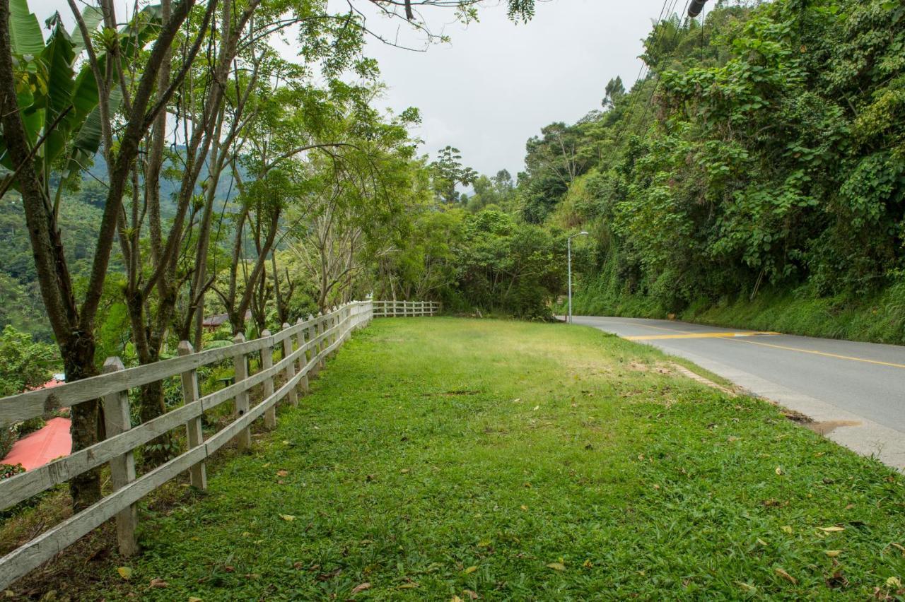 Appartamento Hacienda Charrascal Coffe Farm Manizales Esterno foto